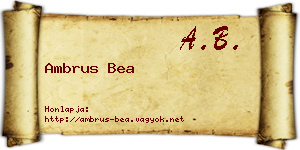 Ambrus Bea névjegykártya